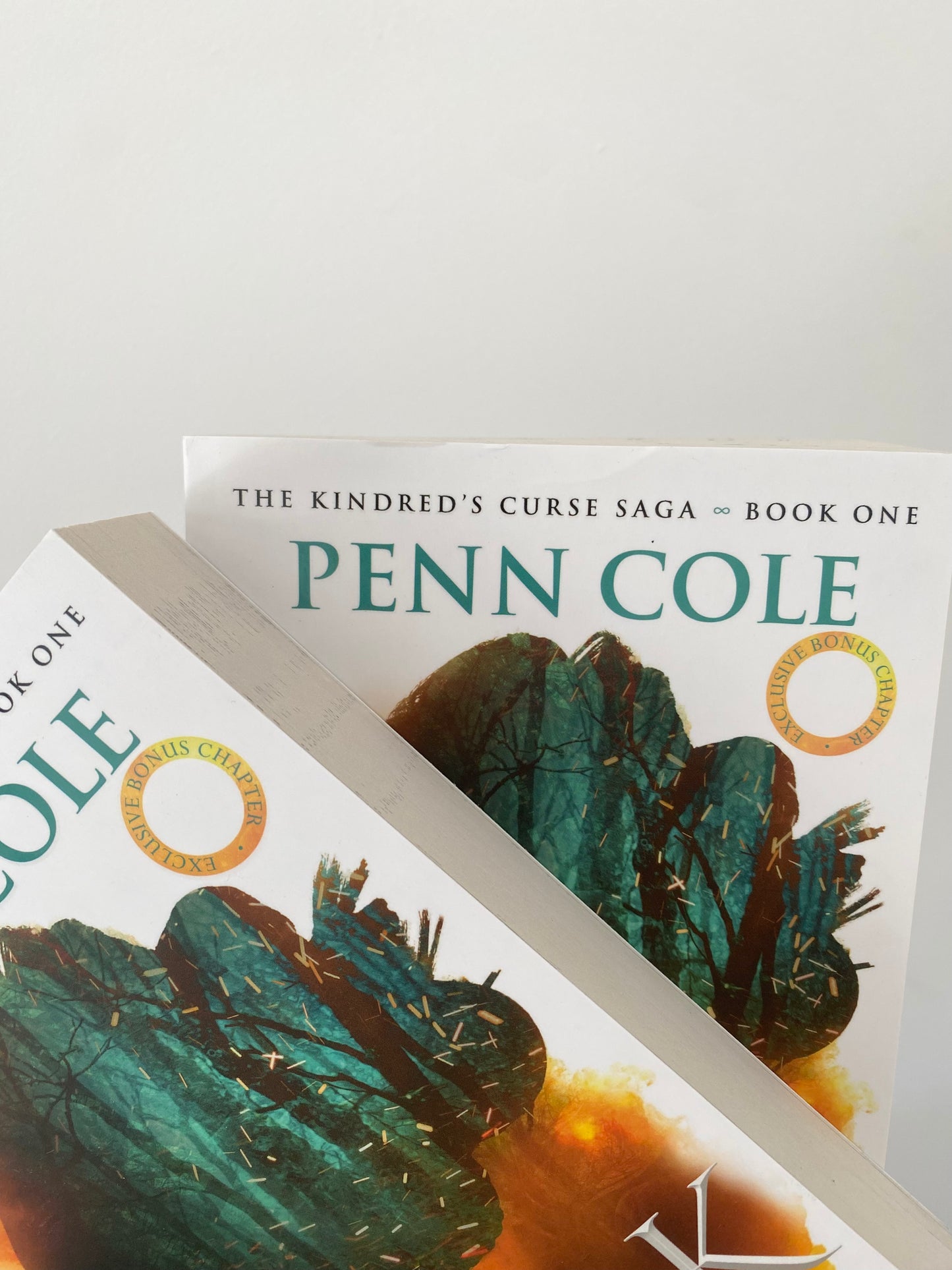 Spark Of The Everflame *Damaged Copy*